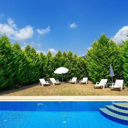 Ege: Your Ultimate Escape In Oludeniz With A Private Pool, Surrounded By Nature With Pool And Garden In Oludeniz, Babadag * Fethiye